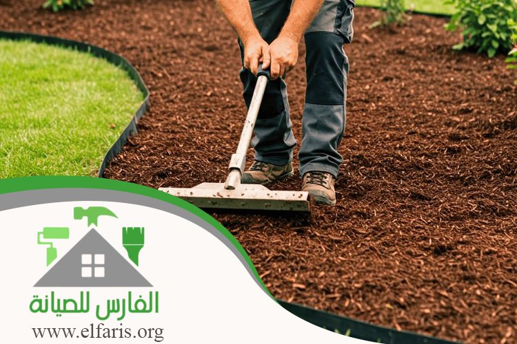 تركيب عشب في أم القيوين