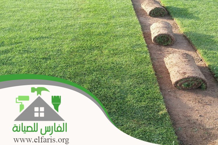 تركيب عشب في رأس الخيمة