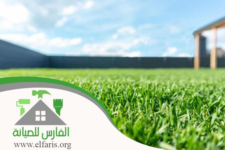 تركيب عشب صناعي في العين