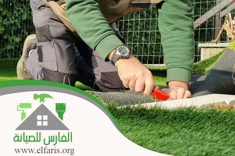 تركيب عشب في الفجيرة